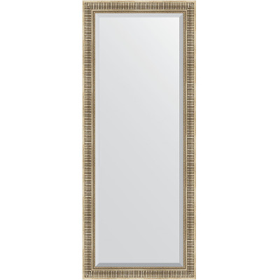 Зеркало напольное Evoform Exclusive Floor 202х82 BY 6121 с фацетом в багетной раме Серебряный акведук 93 мм